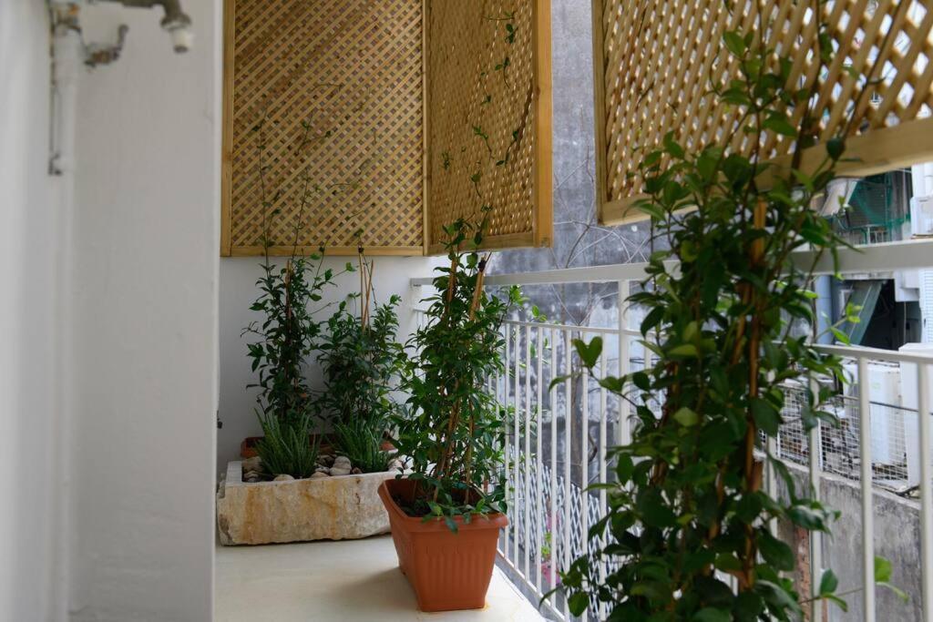 San Rocco Suite コルフ島 エクステリア 写真